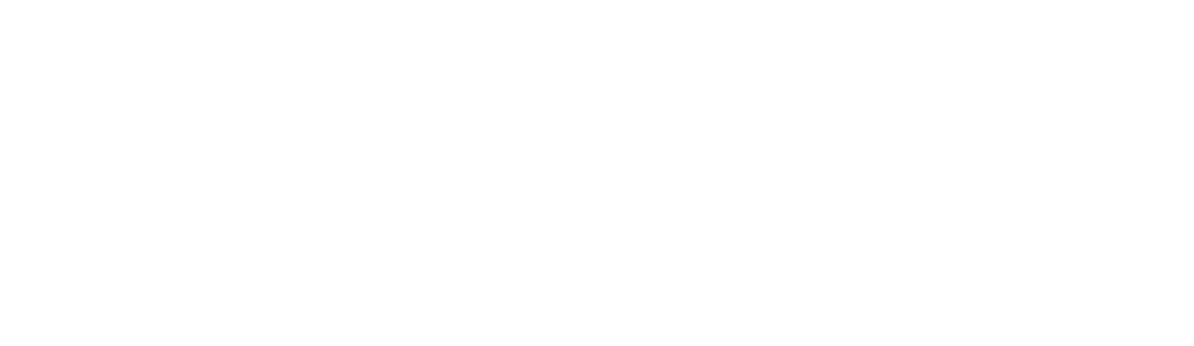 Fez Salon Logo